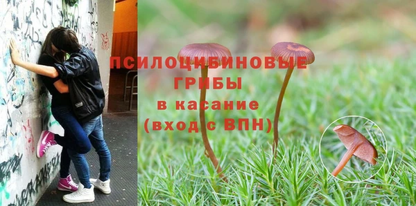 гашиш Алексеевка